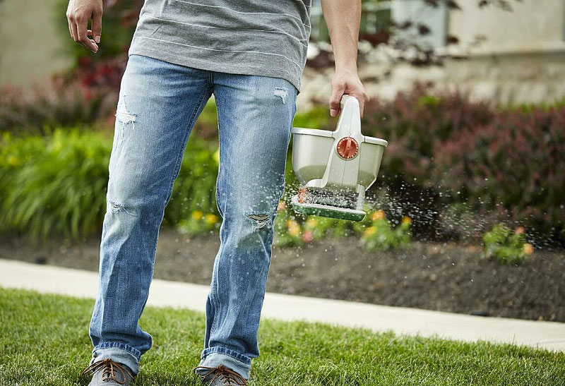 Fertilize Everything in the Yard Before Halloween