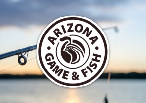 Arizona Game and Fish Meeting Can Be Viewed Online
