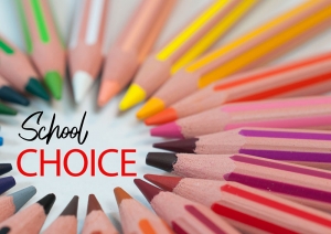 School Choice Now the Law in Arizona