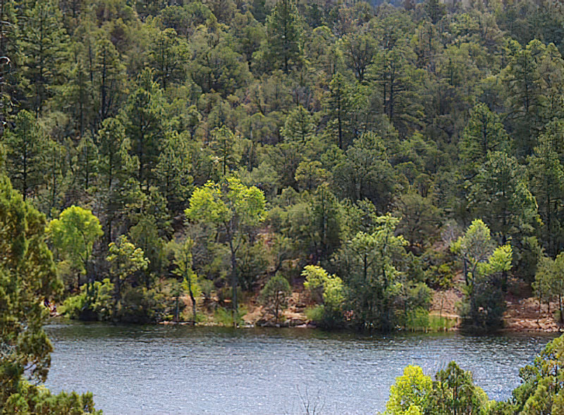 Open &amp; Closed Recreation Sites on the Prescott National Forest