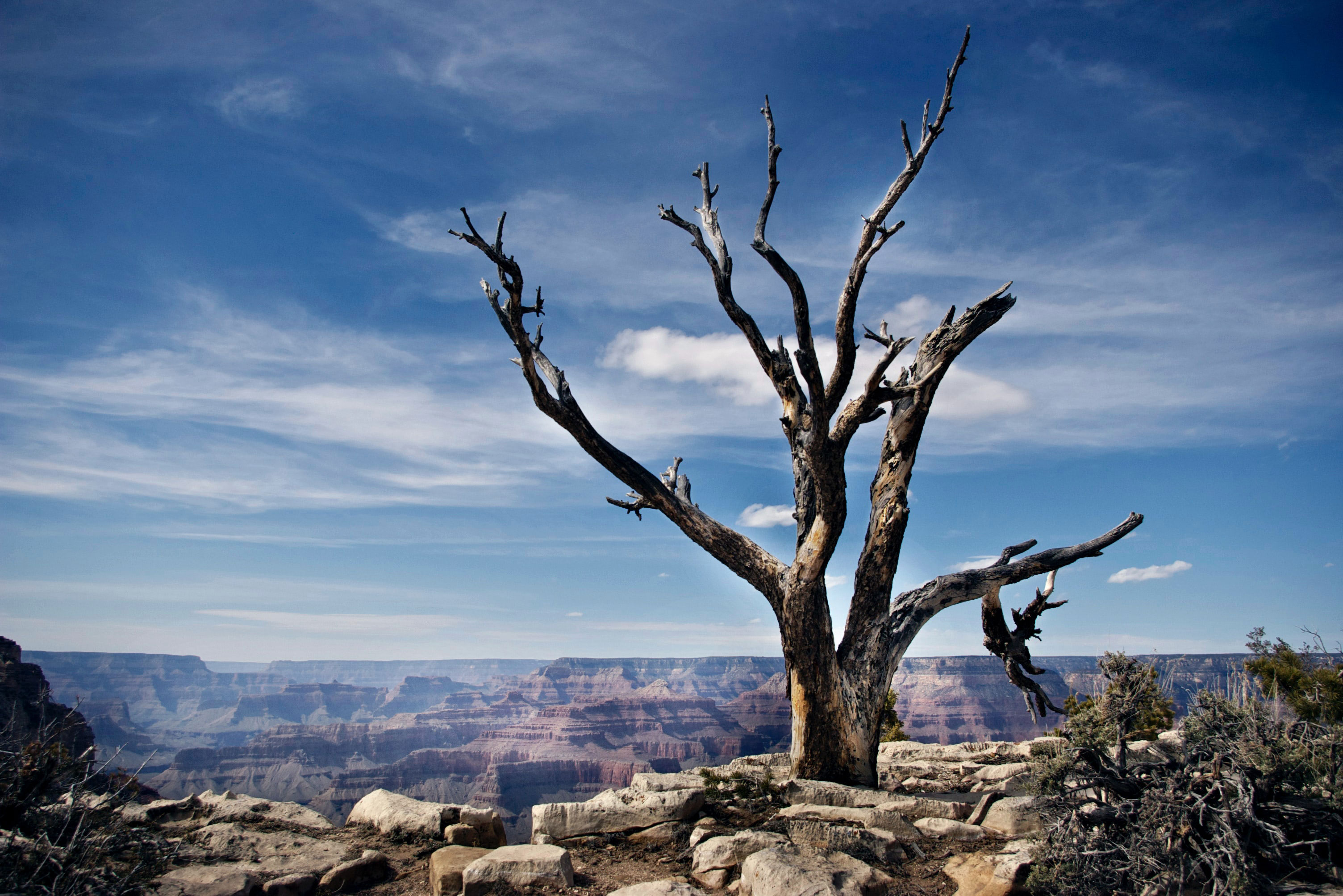 free-lifetime-passes-to-national-parks-for-veterans-copperstate-news