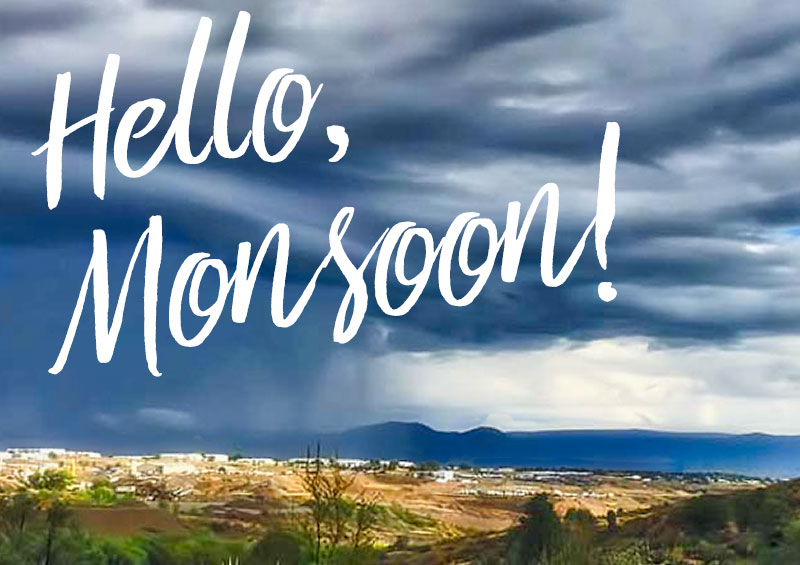 Hello, Monsoon!