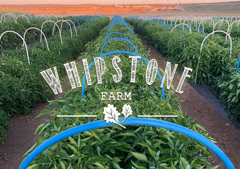 Whipstone Farm: Full Truck for October
