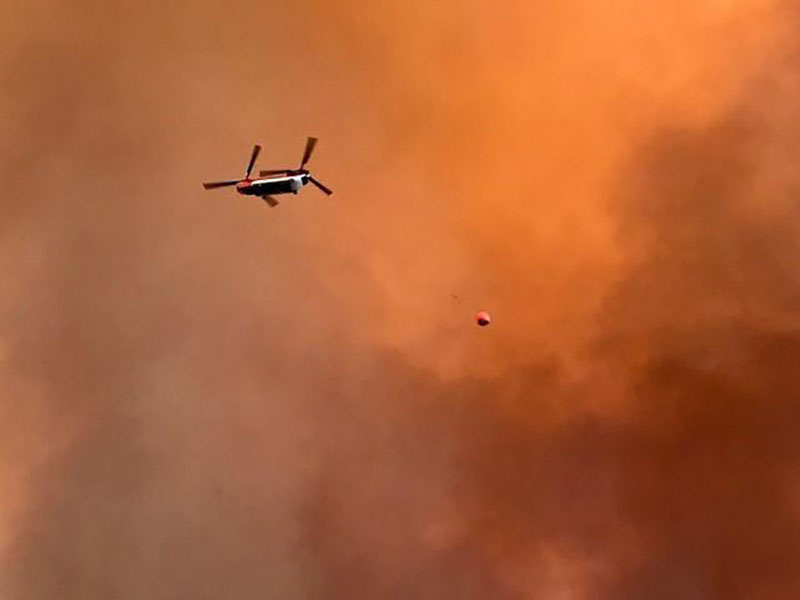 Governor Ducey Signs Legislation To Promote Forest Health And Prevent Wildfires