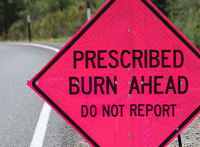 Prescribed Burning to Take Place in January