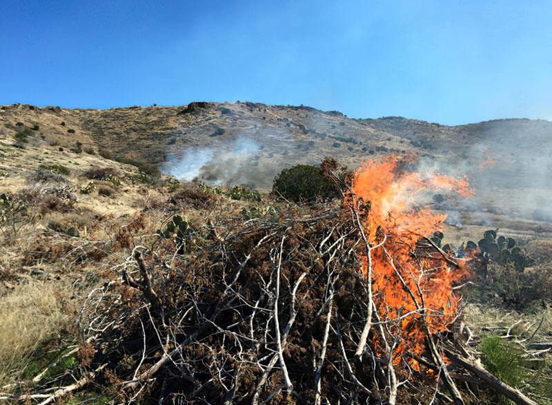 Pile Burning Planned for Next Week