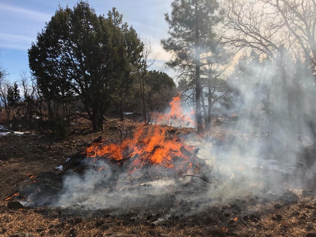 Pile Burning Planned Starting Thursday