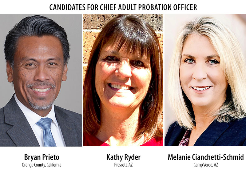 Comments Sought on Chief Adult Probation Officer Candidates