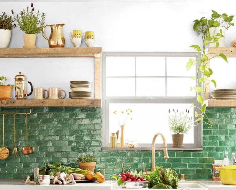 9 Houseplants that Make a Kitchen Statement