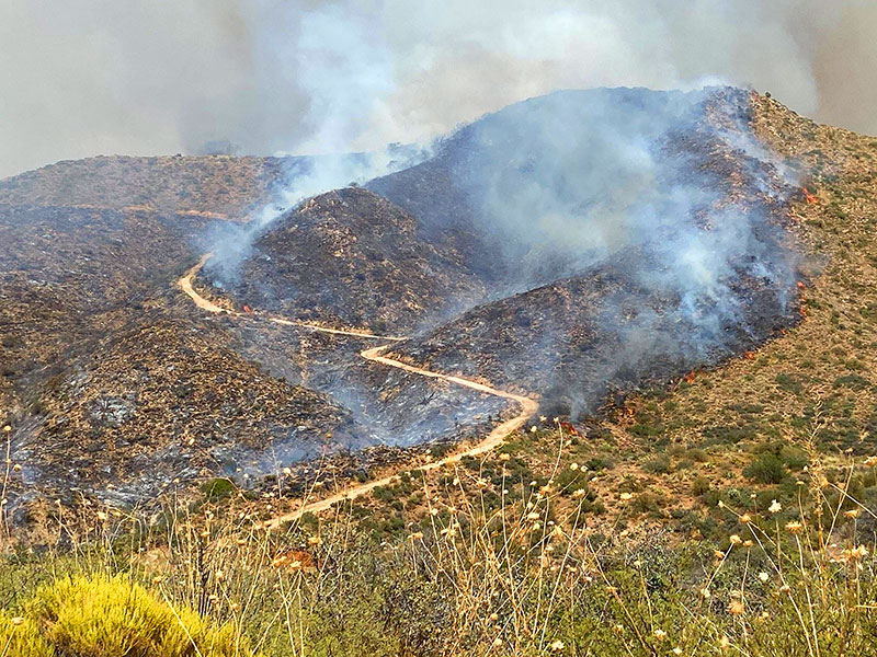 Constellation Fire Spreads to More than 11K Acres