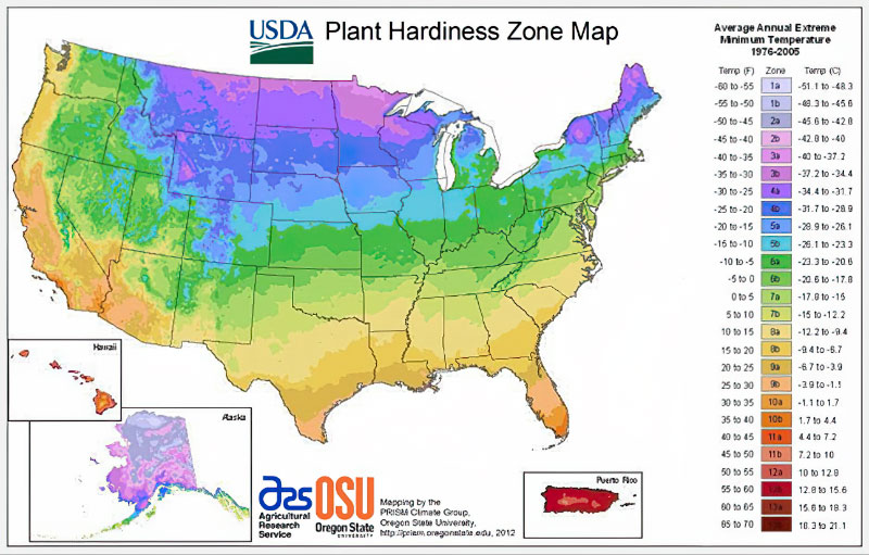USDA Garden Hardiness Map See Temperate Rise