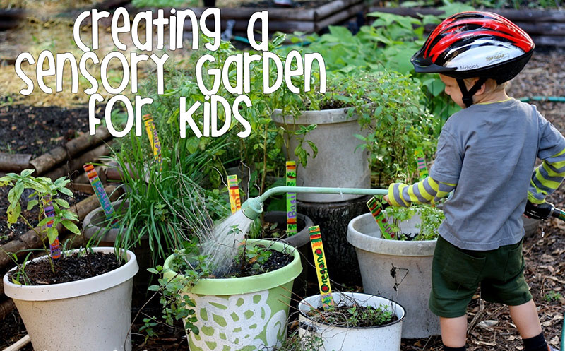 Fun Plants to Grow with Kids