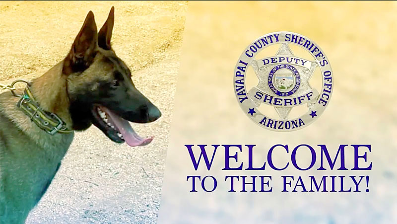 YCSO&#039;s Newest K-9 Officer