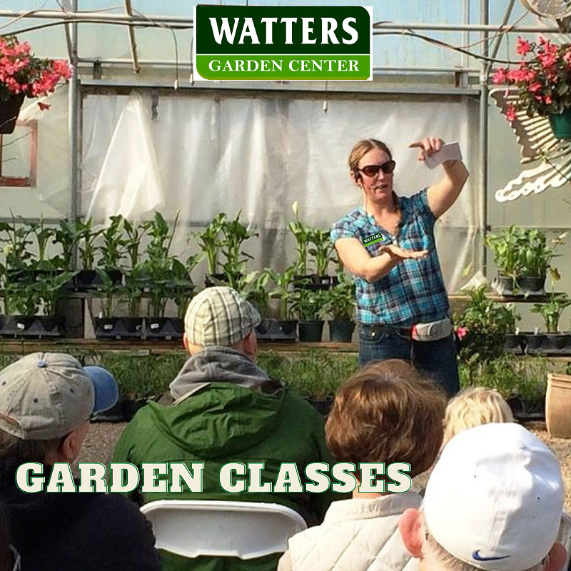 Spring 2022 Free Garden Classes taught at Watters Garden Center